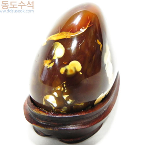 산장법사와원승이