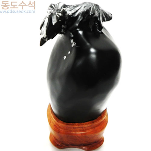 국화석(중국보호석)