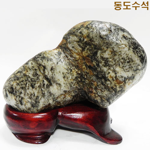 토끼(호피)