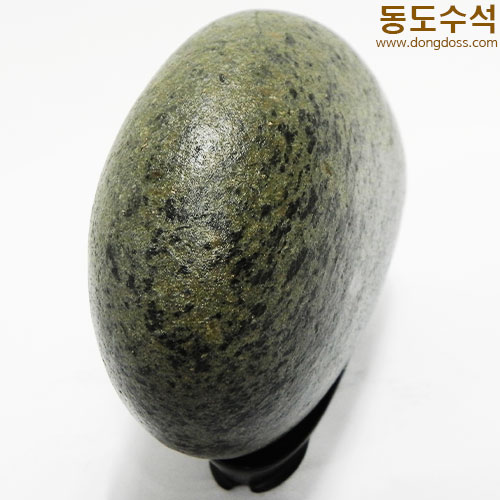 바다풍경어류때