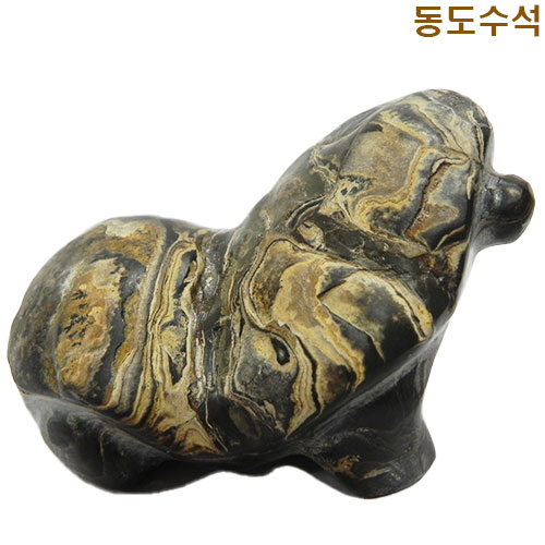 스트마틀라이트(미생물화석)