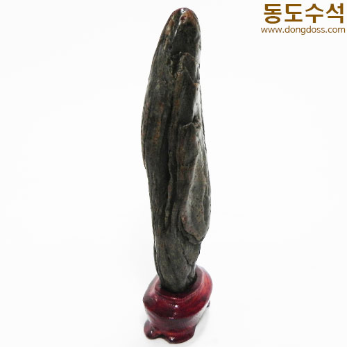 쬬코입석