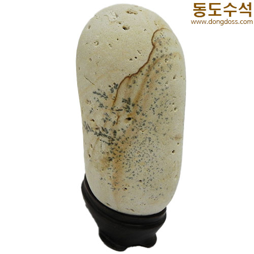 못난이신사