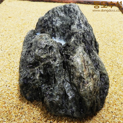 담수경(백독담)