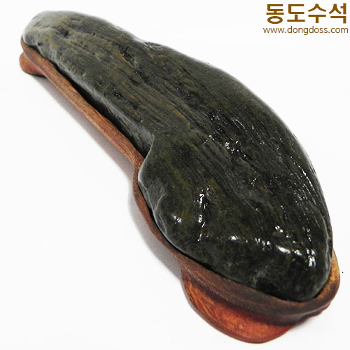 갯바위석