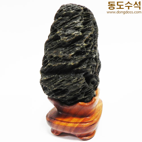 변화좋은입석(쬬코)