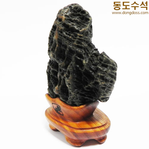 변화좋은입석(쬬코)