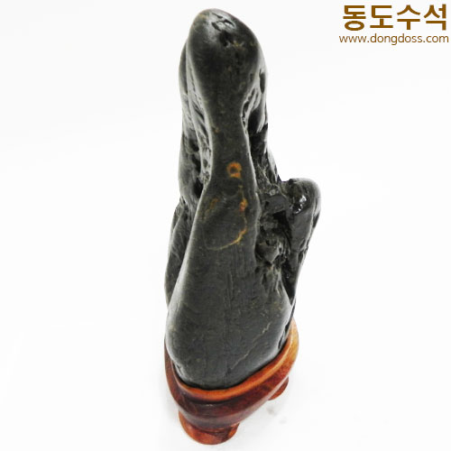 괴석바위(쬬코)