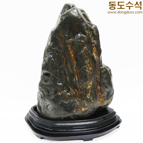 쬬코입석