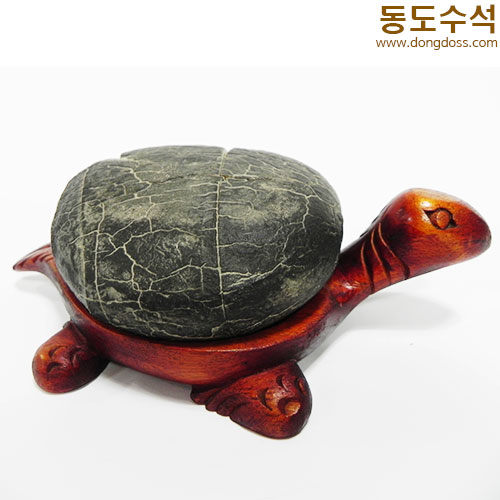 거북구갑