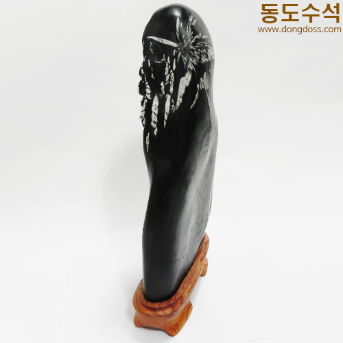 국화석(중국보호석)