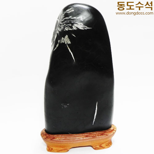 국화석(중국보호석)