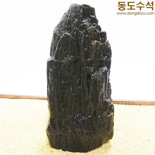 쪼코입석대