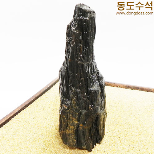 쪼코입석대