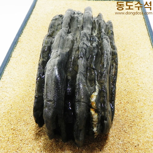 갯바위
