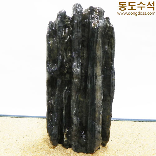 갯바위