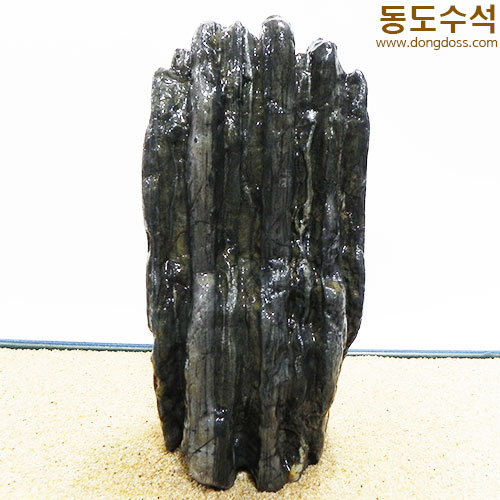 갯바위