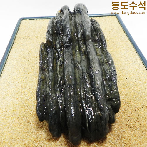 갯바위