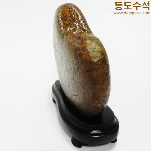 병아리