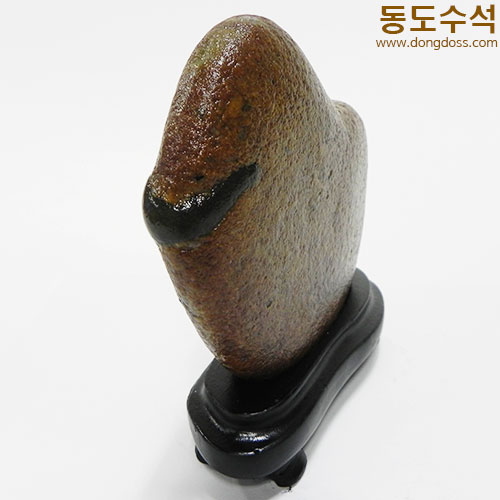 병아리