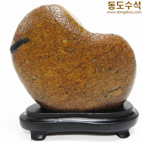 병아리