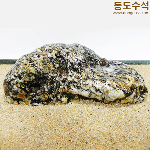 호피갯바위경
