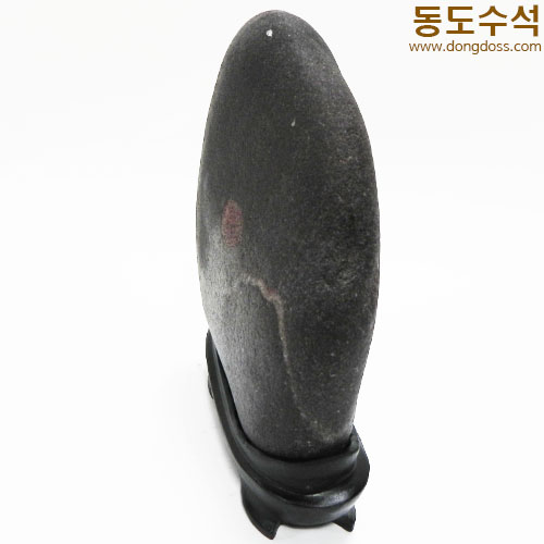 산수에태양