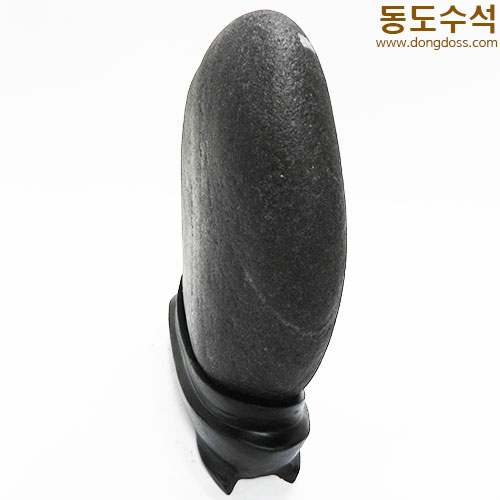 산수에태양