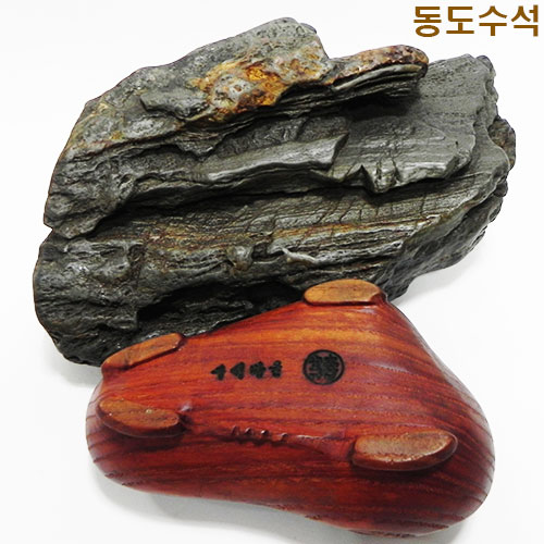 쬬코입석변화