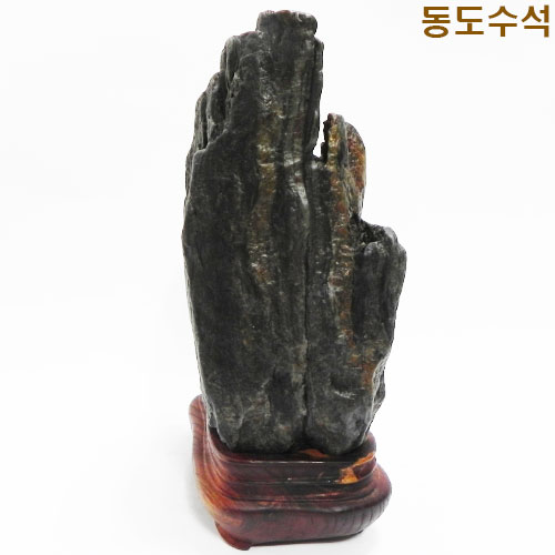 쬬코입석변화
