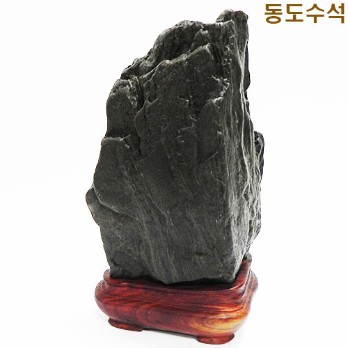 쬬코입석변화
