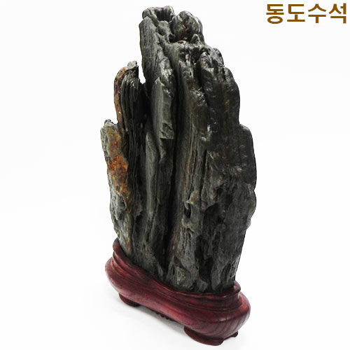 쬬코입석변화
