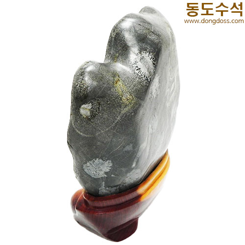 흙국화석첩파가공
