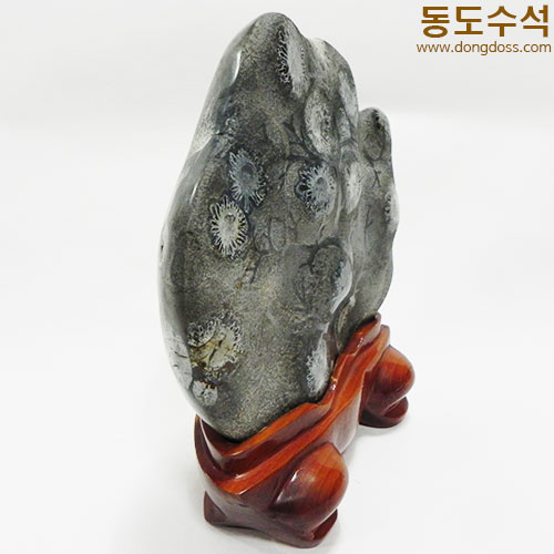 흙국화석첩파가공