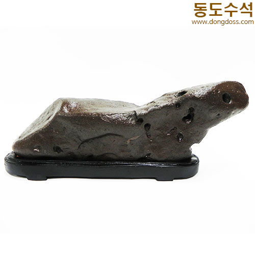 너구리