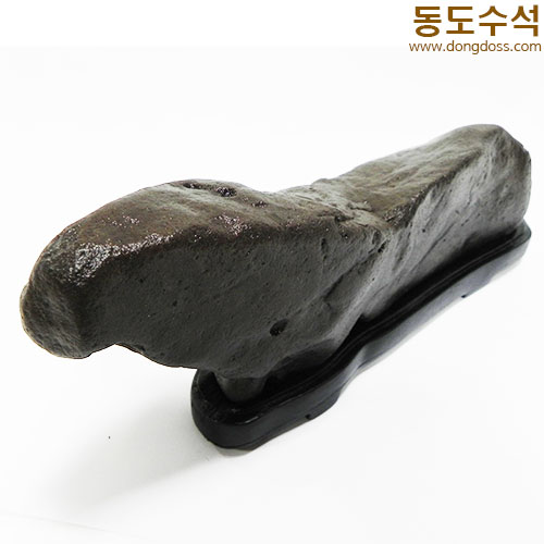 너구리