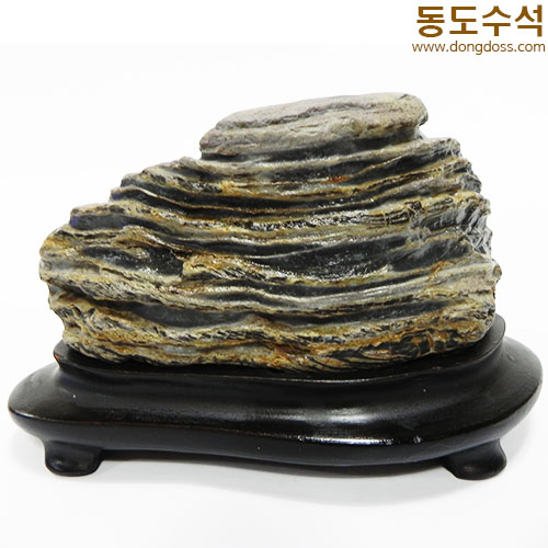 변화주름석