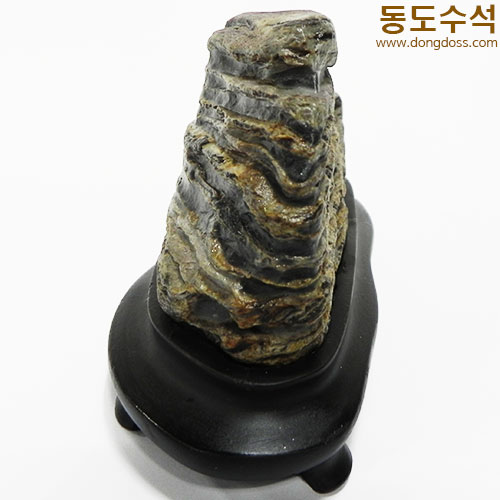 변화주름석