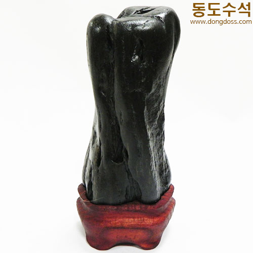 쬬코입석