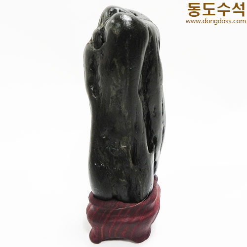 쬬코입석