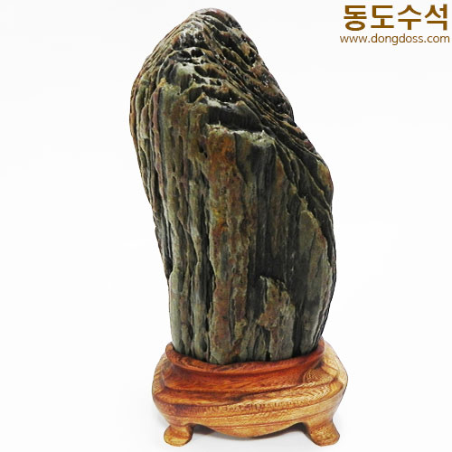 빛살쬬코
