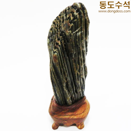 빛살쬬코
