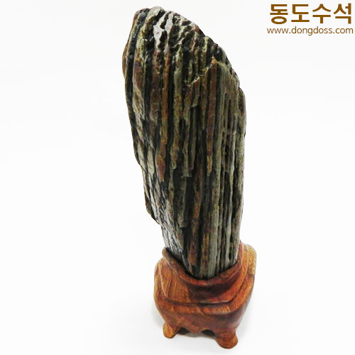 빛살쬬코
