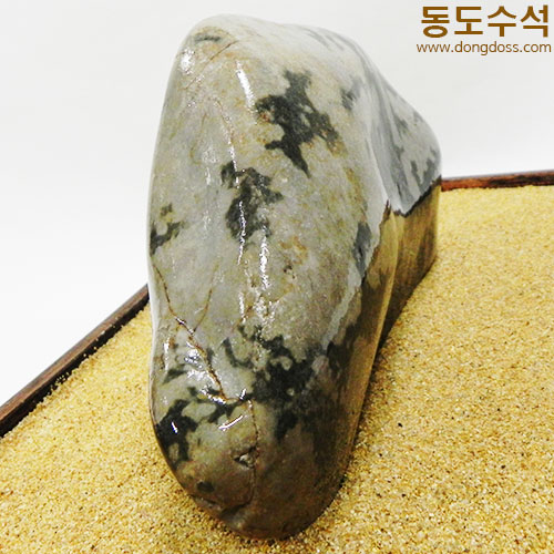 고목나무