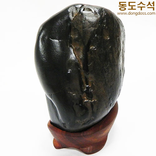 주름쬬코