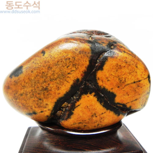 사람인