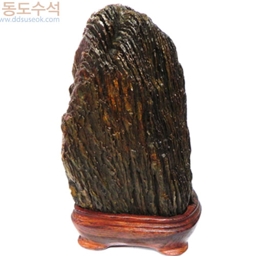 빛살쬬코