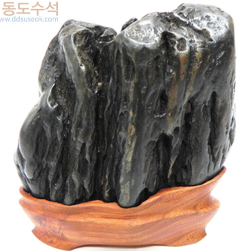 주름쬬코