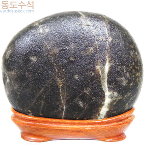 겨울나무