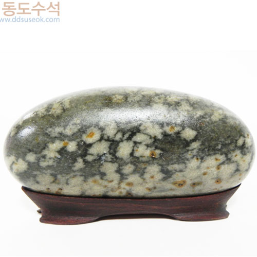 물망초